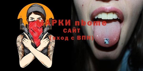 ECSTASY Бородино