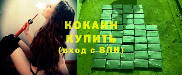 ECSTASY Бородино
