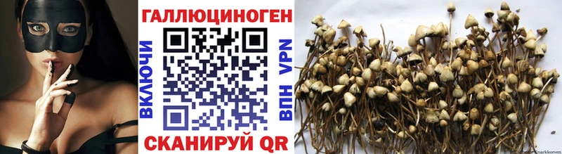 Галлюциногенные грибы MAGIC MUSHROOMS  мега зеркало  Гаврилов-Ям 